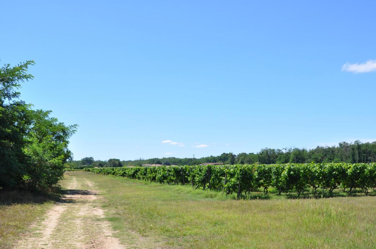 Clos San Gianni Pujols-sur-Ciron Exterior photo